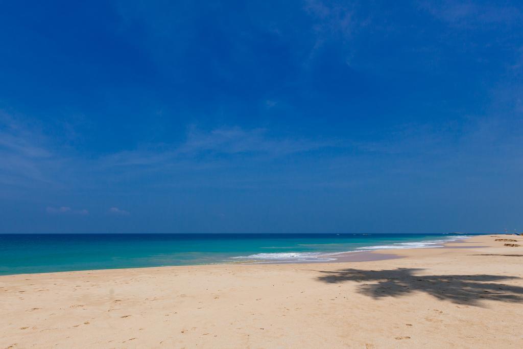 Blue Parrot Beach Villa Ambalangoda  Zewnętrze zdjęcie