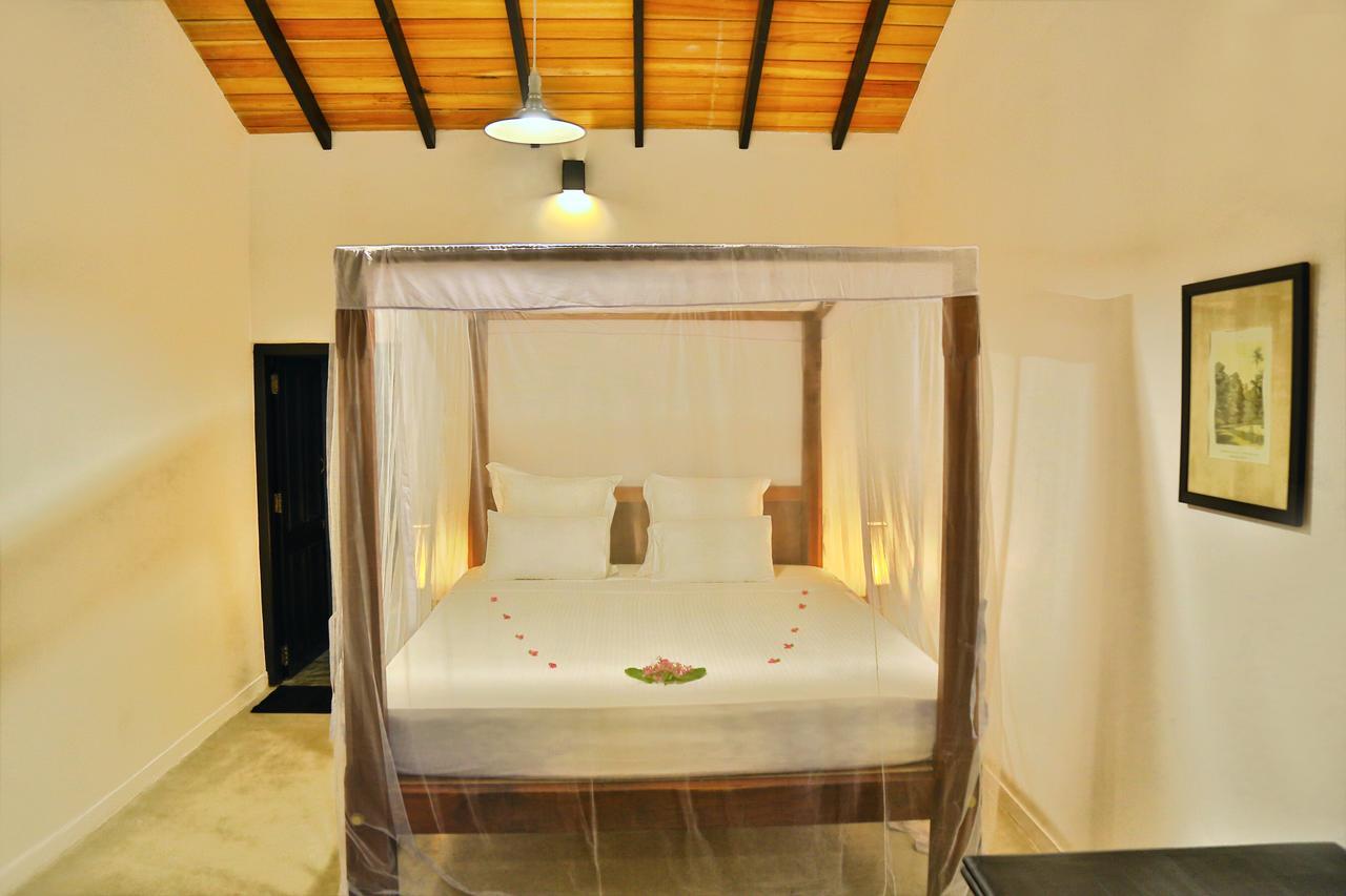 Blue Parrot Beach Villa Ambalangoda  Zewnętrze zdjęcie